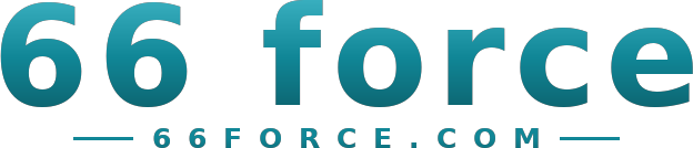 66 force logo